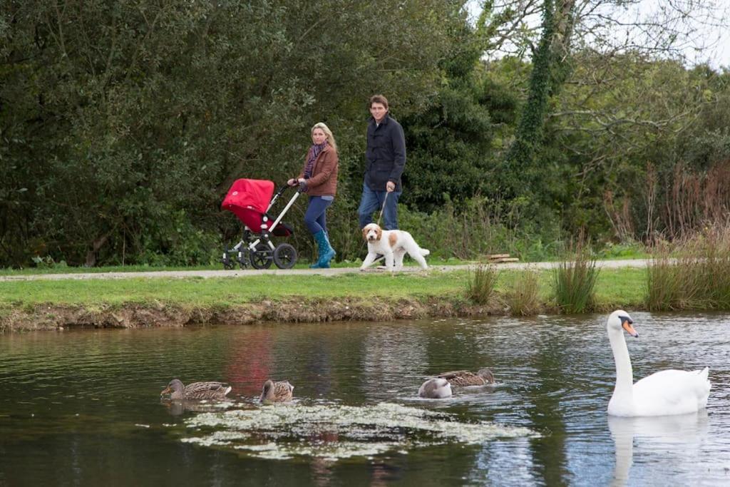 Skylark Sleeps 8 Private Hot Tub & Dogs Welcome Nr Padstow, Resort Pool Bar & Watersports Сент-Колумб-Мейджор Экстерьер фото
